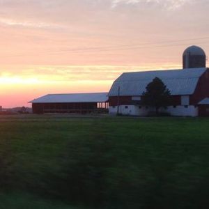 Meet your Posher, Marla